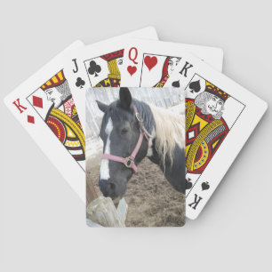 Paint Pinto Horse Poker Cards