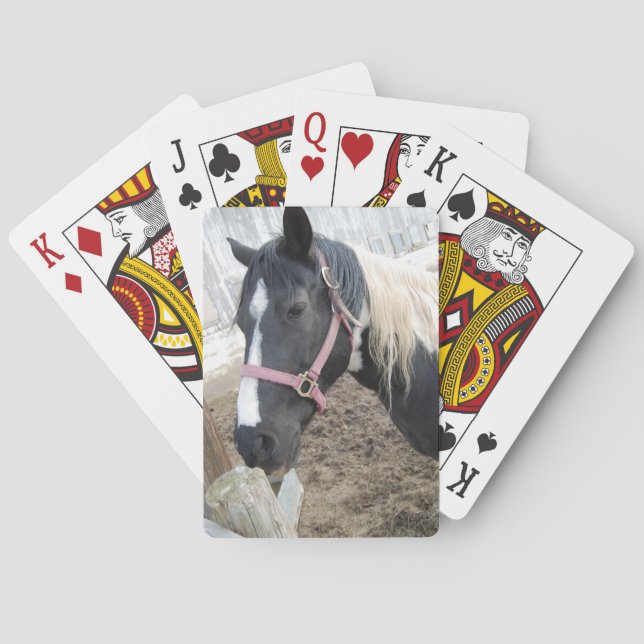 Paint Pinto Horse Poker Cards (Back)