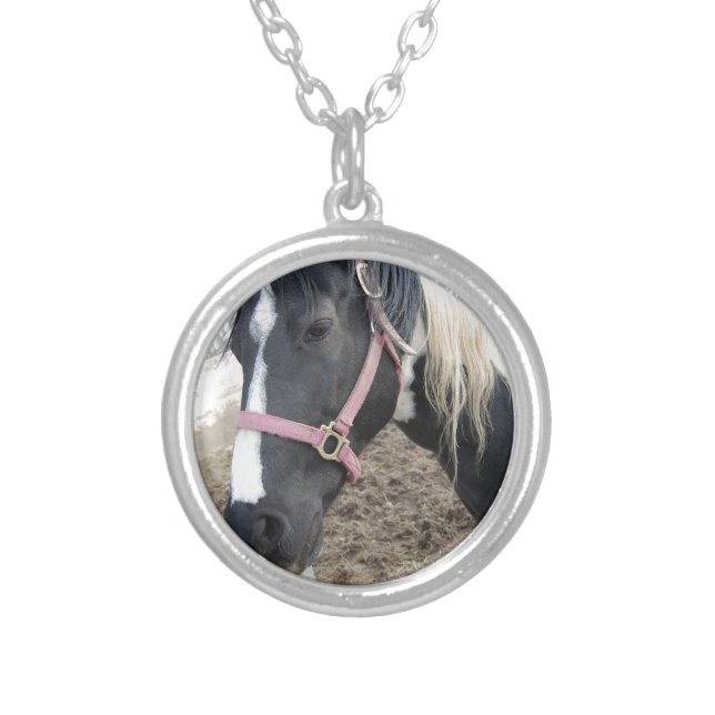 Paint Pinto Horse Silver Plated Necklace (Front)