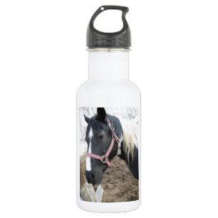 Paint Pinto Horse Water Bottle
