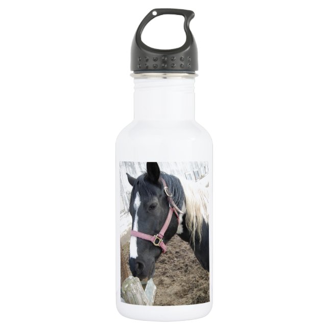 Paint Pinto Horse Water Bottle (Front)