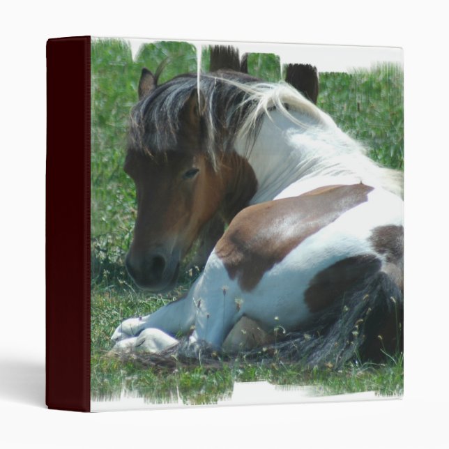 Paint Pony Binder (Front/Spine)