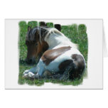 Paint Pony Resting Card