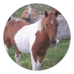 Paint Pony Sticker