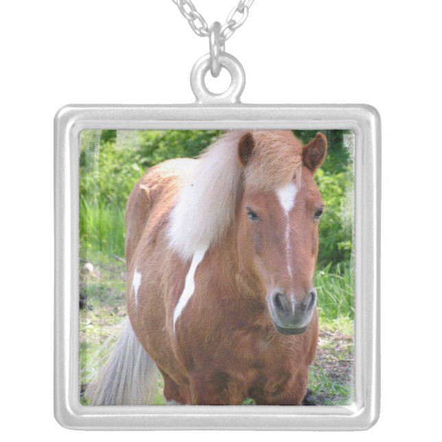 Paint Quarter Horse Necklace (Front)