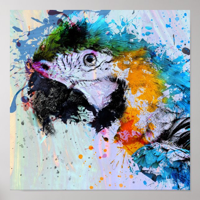 Paint Splash Parrot | Poster Print (Front)