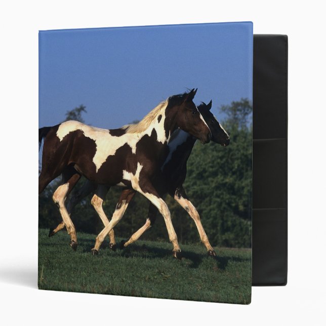 Paint Yearlings Running 3 Ring Binder (Front/Inside)