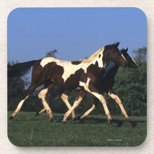 Paint Yearlings Running Beverage Coaster