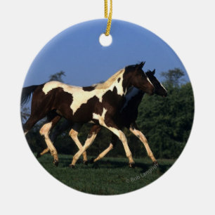 Paint Yearlings Running Ceramic Ornament