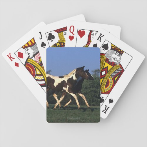 Paint Yearlings Running Playing Cards
