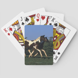 Paint Yearlings Running Poker Cards