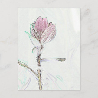 Paintbrush Postcard