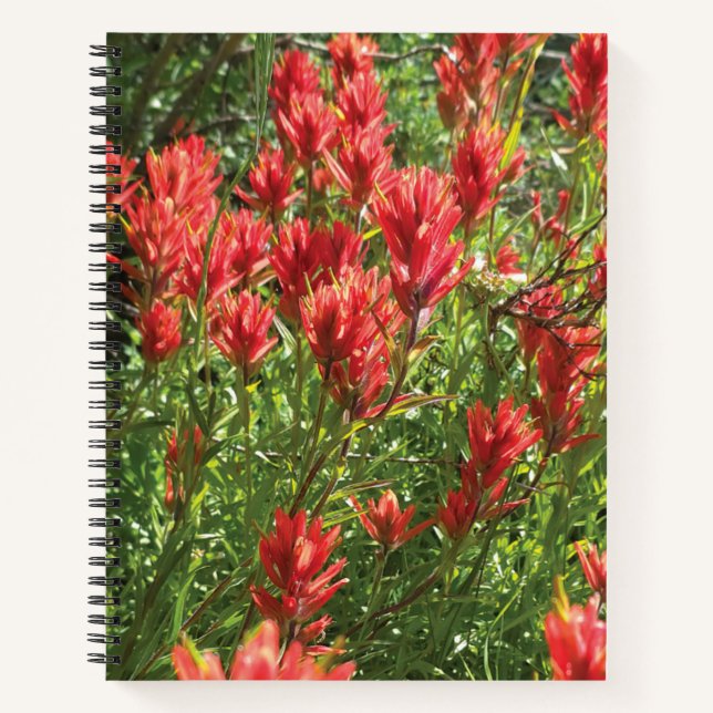 Paintbrush Spiral Notebook (Front)