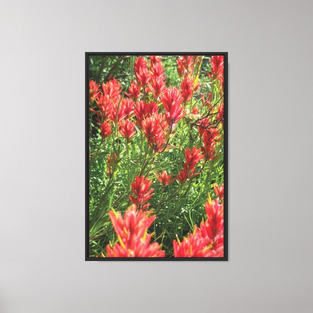 Paintbrush Stretched Canvas Print (Front)