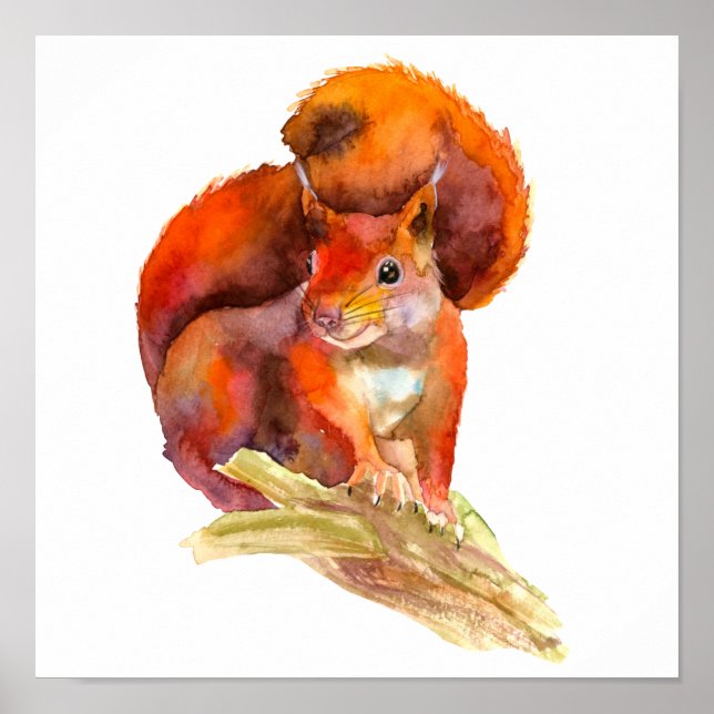 Painted Alert Red Squirrel On A Branch Rustic Poster (Front)