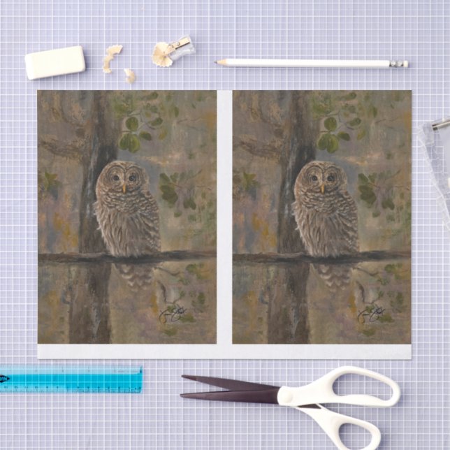 Painted Barred Owl DBL Tissue Paper (Craft)