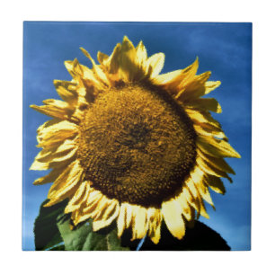 painted big yellow sunflower against a blue sky ceramic tile