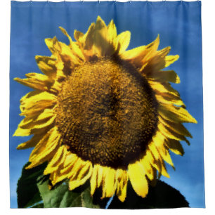 painted big yellow sunflower against a blue sky shower curtain