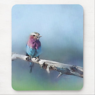 Painted Bird Mouse Pad