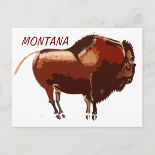 painted bison Montana postcard
