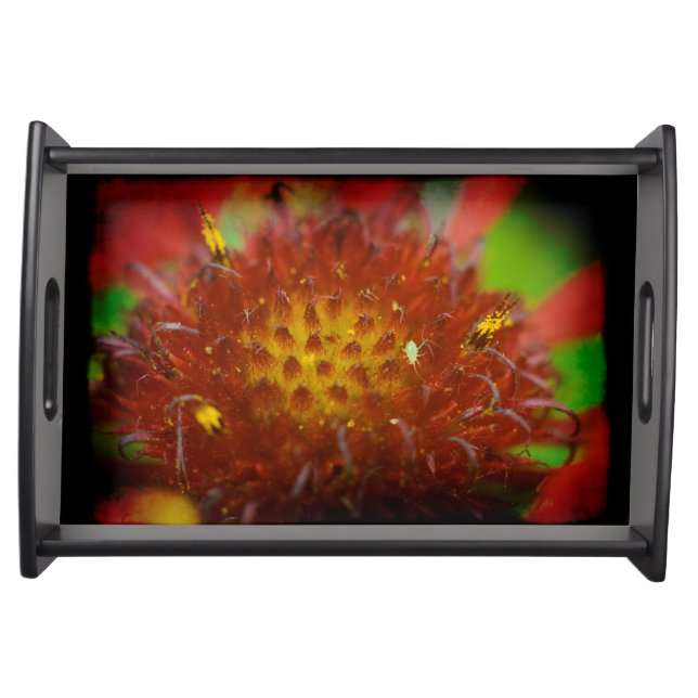 Painted Blanket close-up Black Border Serving Tray (Front)