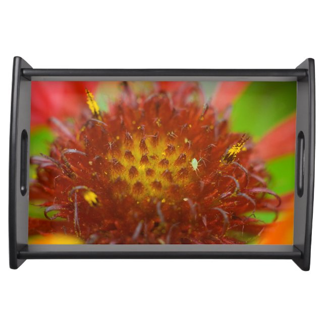 Painted Blanket close-up Serving Tray (Front)