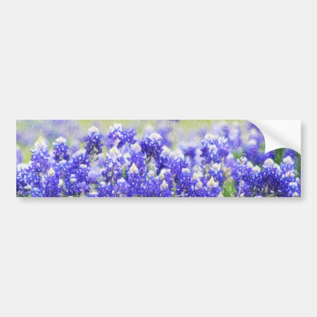 Painted Bluebonnet Long Sticker (Front)