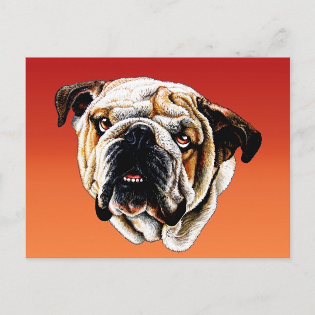 Painted Bulldog Face Postcard (Front)