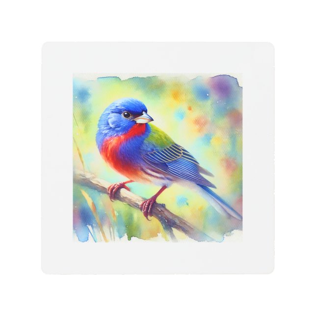 Painted Bunting 260624AREF123 - Watercolor Metal Print (Front)