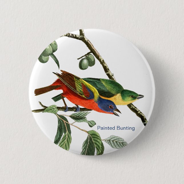Painted Bunting, Audubon, Birdwatcher Finch Bird, Button (Front)