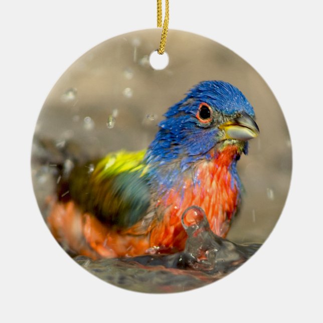 Painted Bunting - Beautiful Birds Ornament (Front)