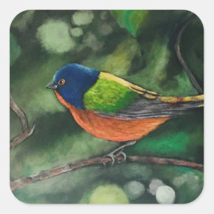 Painted Bunting Bird Square Sticker