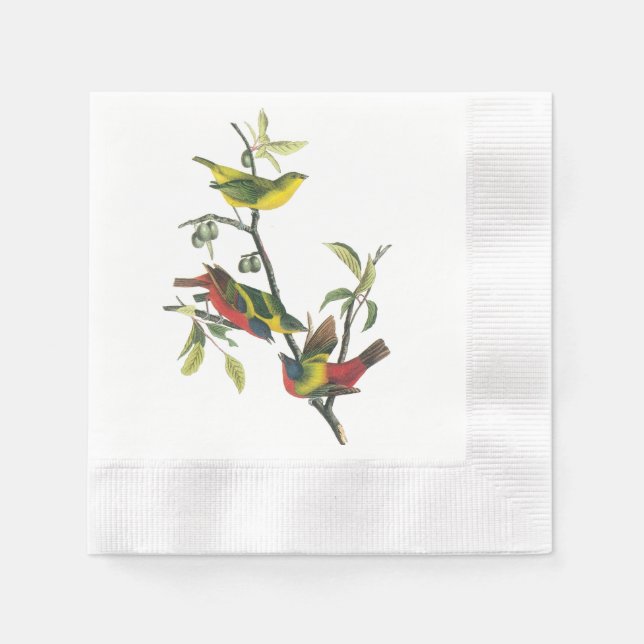 Painted Bunting by Audubon Paper Napkins (Front)