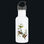 Painted Bunting by Audubon Stainless Steel Water Bottle<br><div class="desc">John James Audubon (April 26, 1785 – January 27, 1851), born Jean-Jacques Audubon, was an American ornithologist, naturalist, and painter. He was notable for his expansive studies to document all types of American birds and for his detailed illustrations that depicted the birds in their natural habitats. His major work, a...</div>
