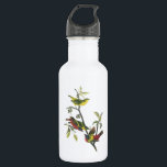 Painted Bunting by Audubon Stainless Steel Water Bottle<br><div class="desc">John James Audubon (April 26, 1785 – January 27, 1851), born Jean-Jacques Audubon, was an American ornithologist, naturalist, and painter. He was notable for his expansive studies to document all types of American birds and for his detailed illustrations that depicted the birds in their natural habitats. His major work, a...</div>