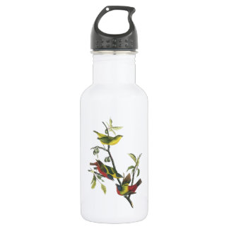 Painted Bunting by Audubon Stainless Steel Water Bottle