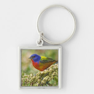 Painted Bunting Keychain