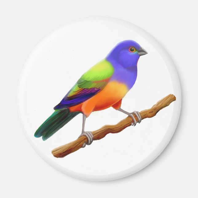 Painted Bunting Magnet (Front)