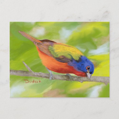 Painted Bunting on Limb JW Postcard