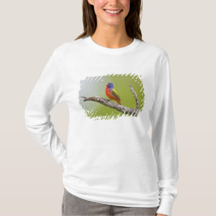 Painted Bunting Passerina ciris) male singing T-Shirt