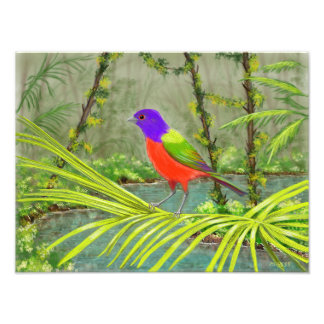 Painted Bunting Photo Print