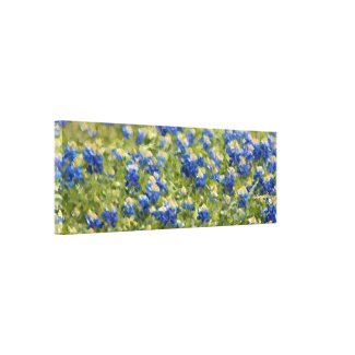 Painted Canvas: Texas Wildflower Bluebonnet Field wrappedcanvas