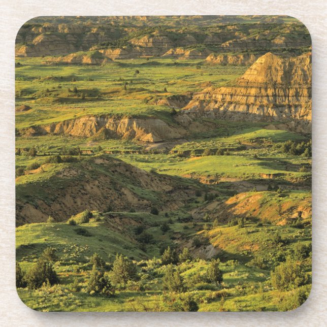 Painted Canyon After Storm in Theodore Roosevelt Beverage Coaster (Front)