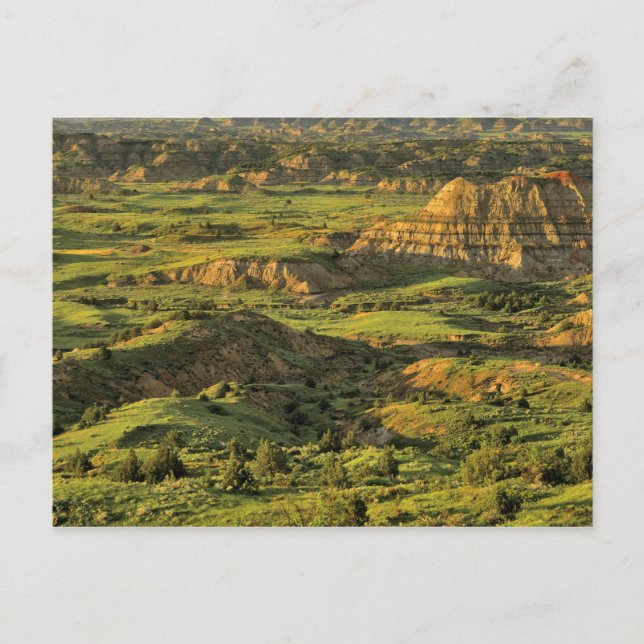 Painted Canyon After Storm in Theodore Roosevelt Postcard (Front)