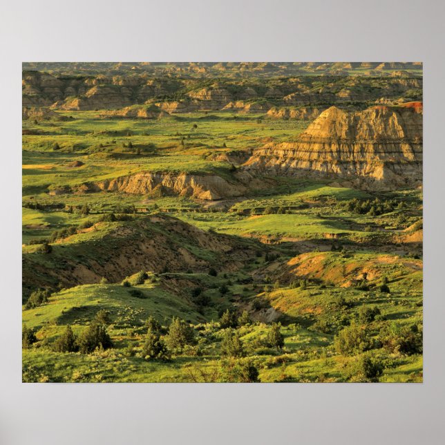 Painted Canyon After Storm in Theodore Roosevelt Poster (Front)