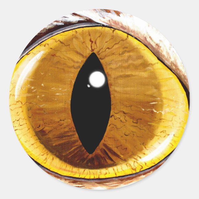 Painted Cat's Eye Classic Round Sticker (Front)