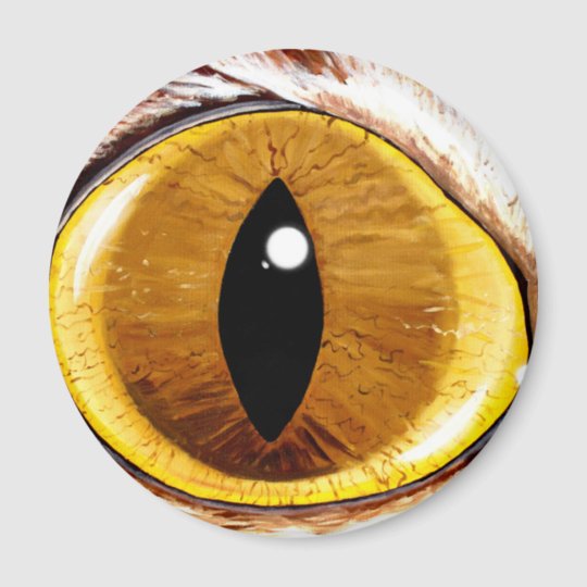 Painted Cat's Eye