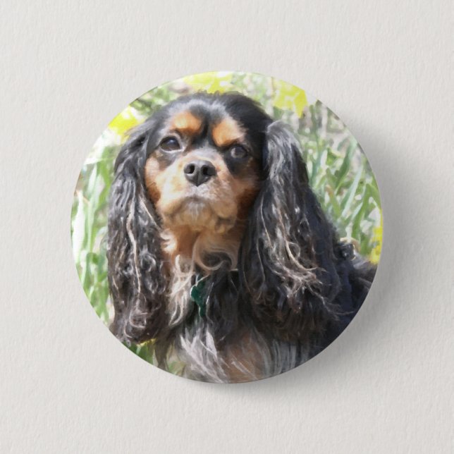Painted Cavalier King Charles Spaniel Button (Front)