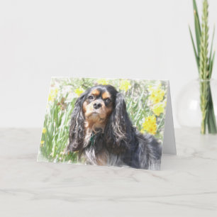 Painted Cavalier King Charles Spaniel Greeting Car Card
