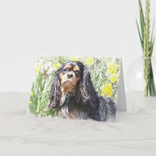 Painted Cavalier King Charles Spaniel Greeting Car Card